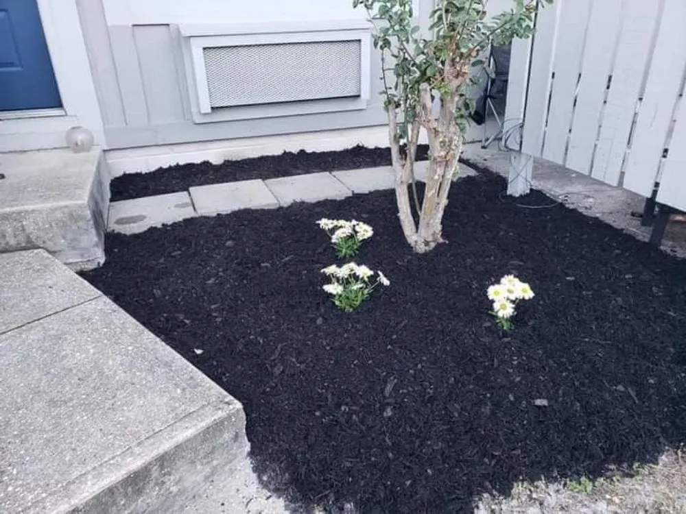 Professional lawn care service experts serving Fort Walton Beach, FL - G&C Lawn Services