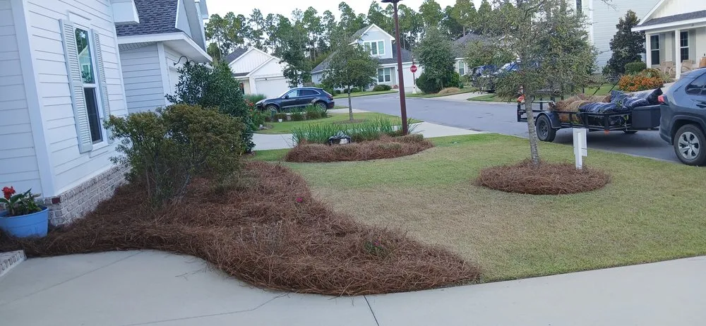 Trusted yard cleanup service near you across Panama City Beach, FL - G&C Lawn Services