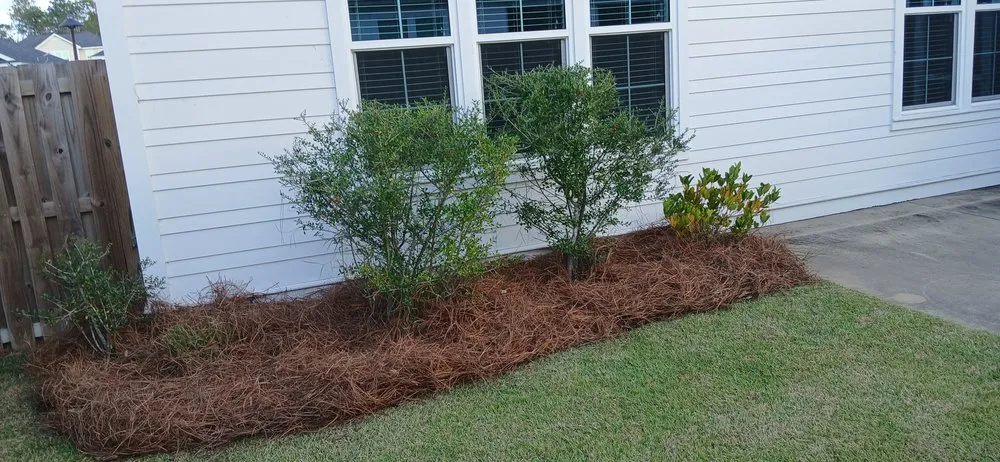 Top-rated landscaping services for beautiful yards across Panama City Beach, FL - G&C Lawn Services