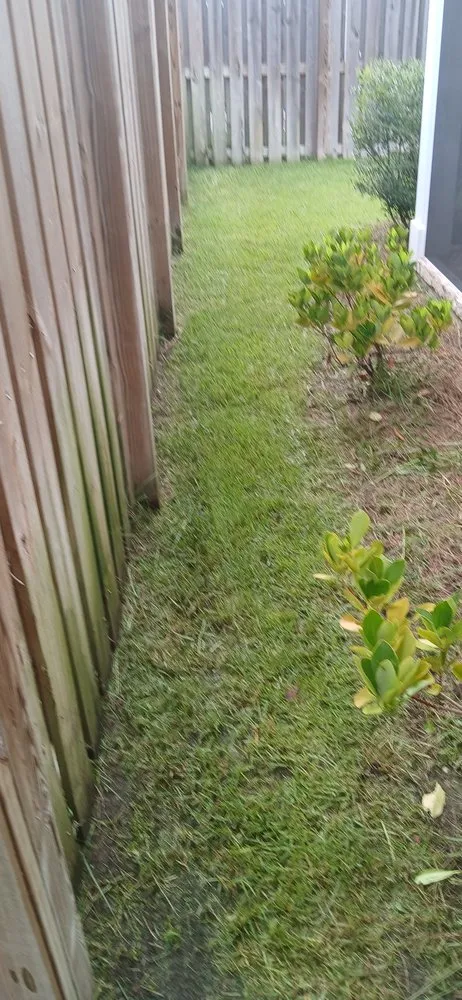 Expert landscape design experts serving Panama City Beach, FL - G&C Lawn Services