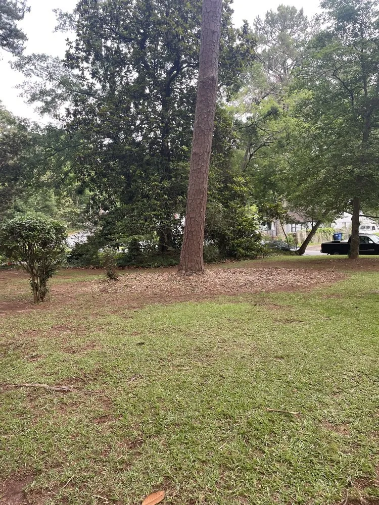 Affordable residential landscaping for residential properties across Lithonia, GA - G&C Lawncare