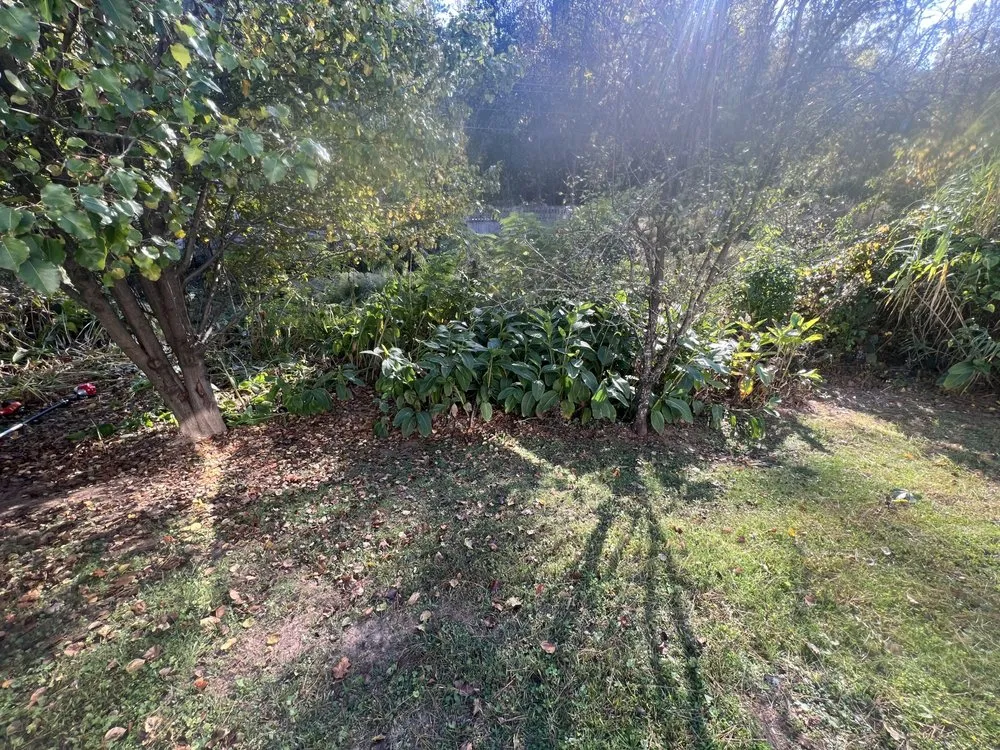 Professional landscape installation for homes across Lithonia, GA - G&C Lawncare