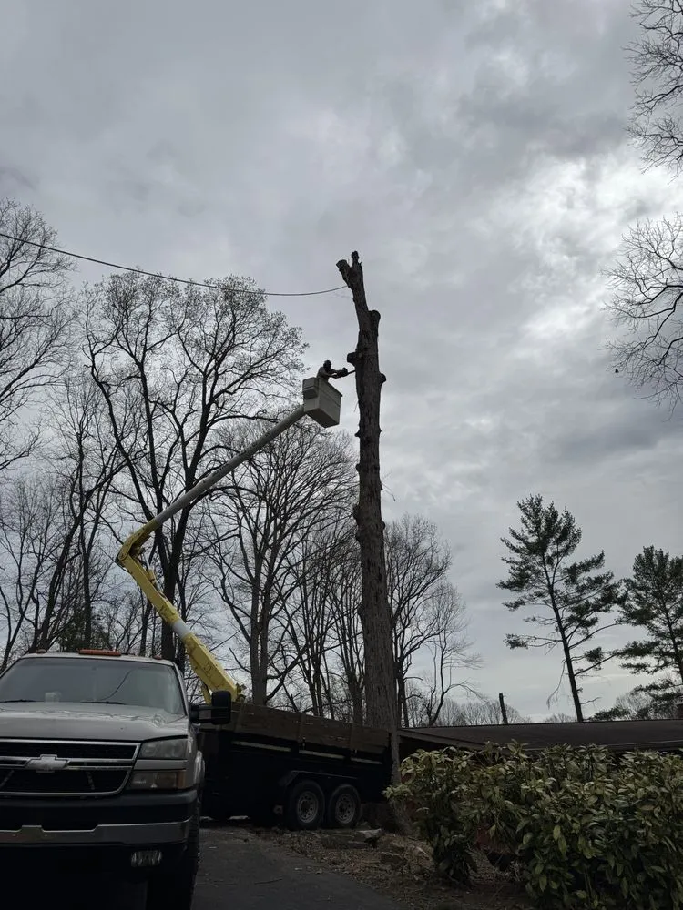 Affordable lawn care service experts serving Hampton, TN - GC Services