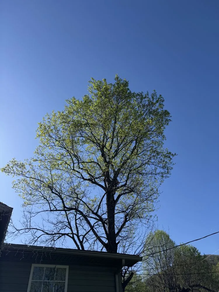 Expert landscape installation experts serving Hampton, TN - GC Services