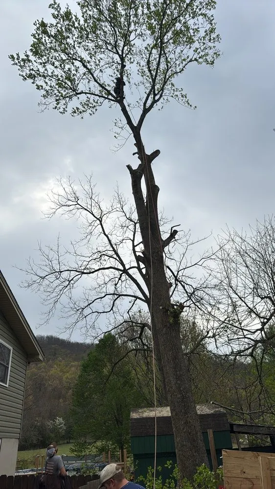 Affordable garden landscaping experts serving Hampton, TN - GC Services