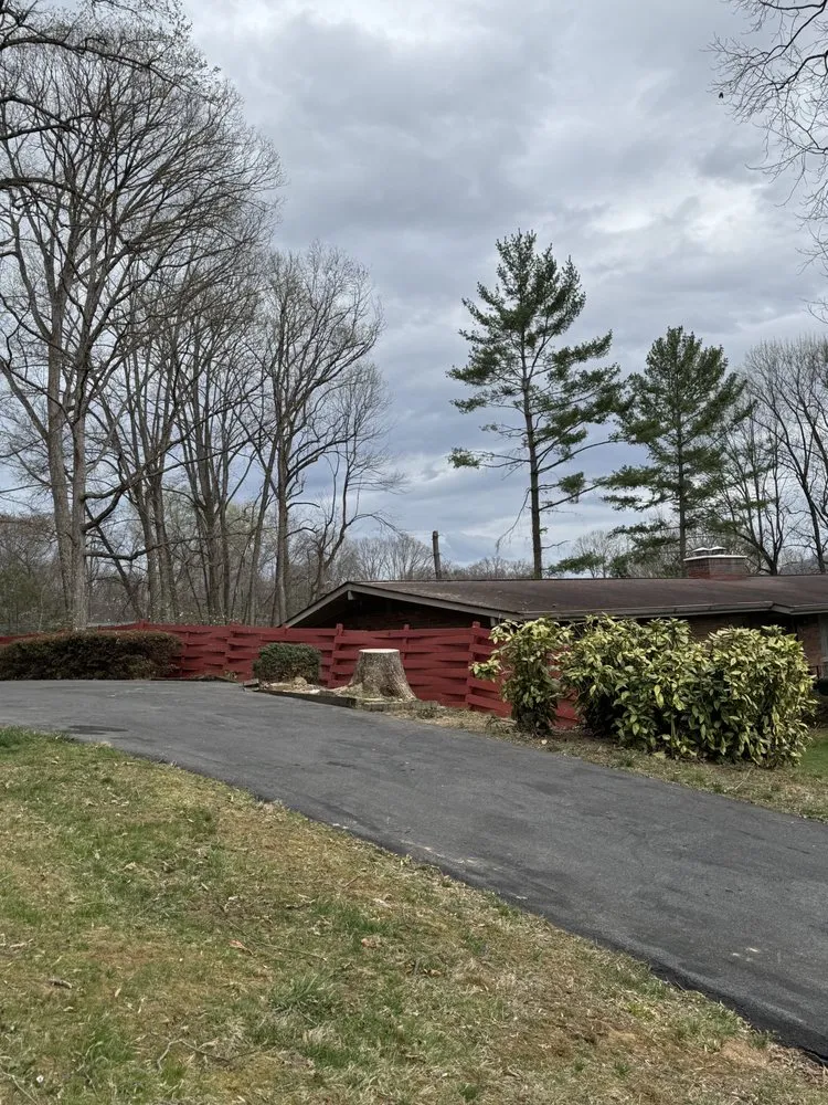 Professional yard cleanup service in Hampton, TN - GC Services