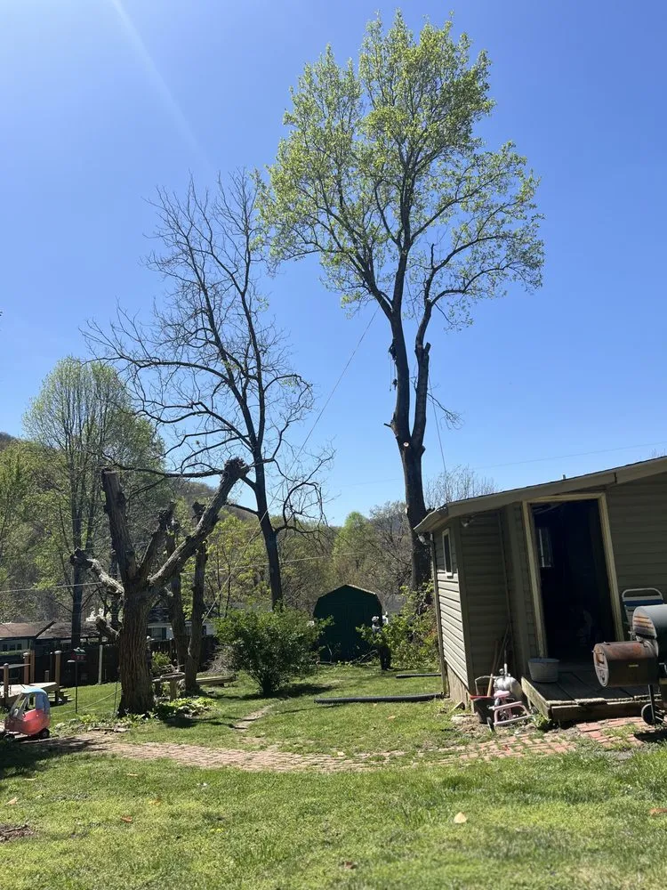 Custom landscape design for year-round maintenance across Hampton, TN - GC Services