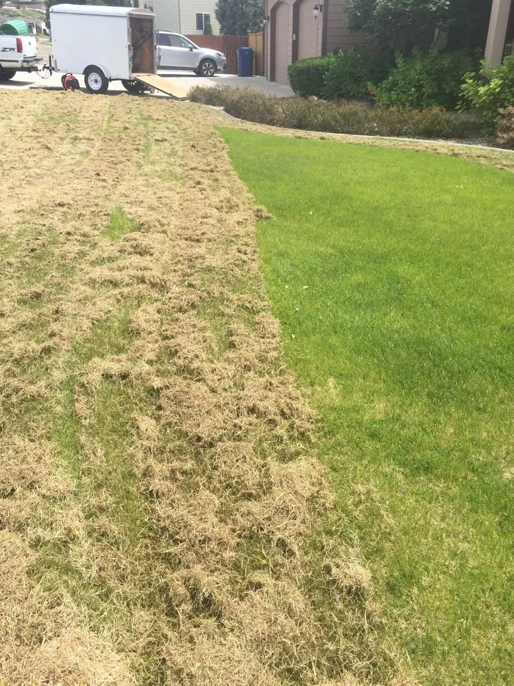 Expert landscape design for residential properties in Wenatchee, WA by GC Yard Care