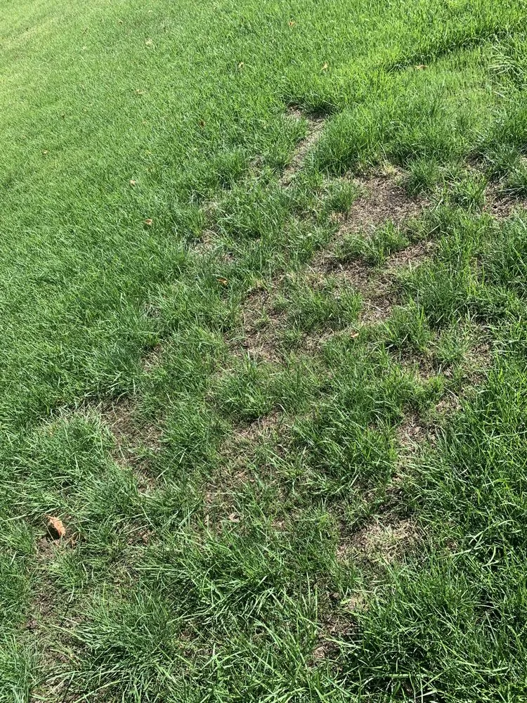 Affordable outdoor landscaping experts serving Wenatchee, WA - GC Yard Care