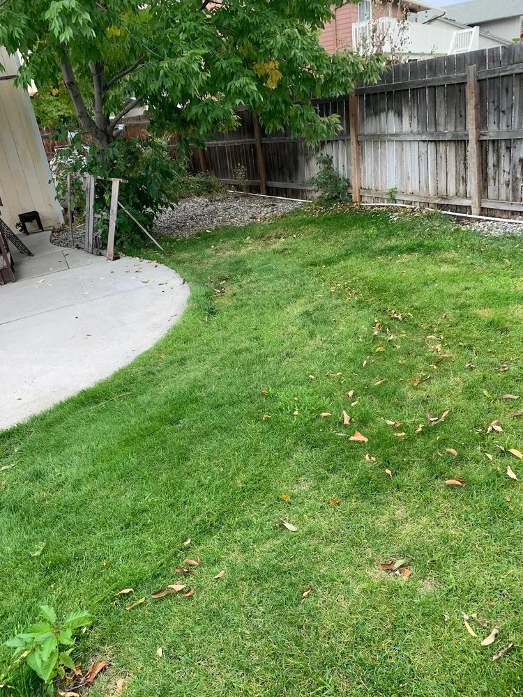 Top-rated yard cleanup service for homes in Wenatchee, WA by GC Yard Care