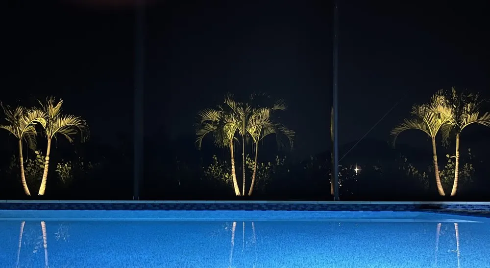 Reliable yard cleanup service in Naples, FL by GCase Landscape