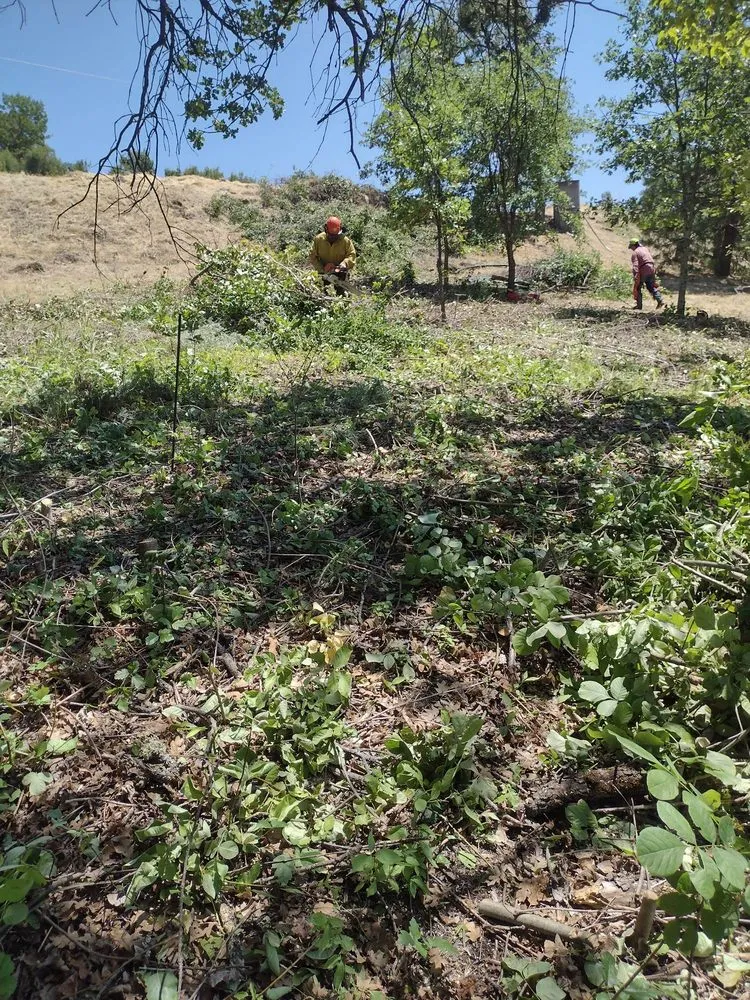 Custom lawn mowing service experts serving Medford, OR - GCC Farming