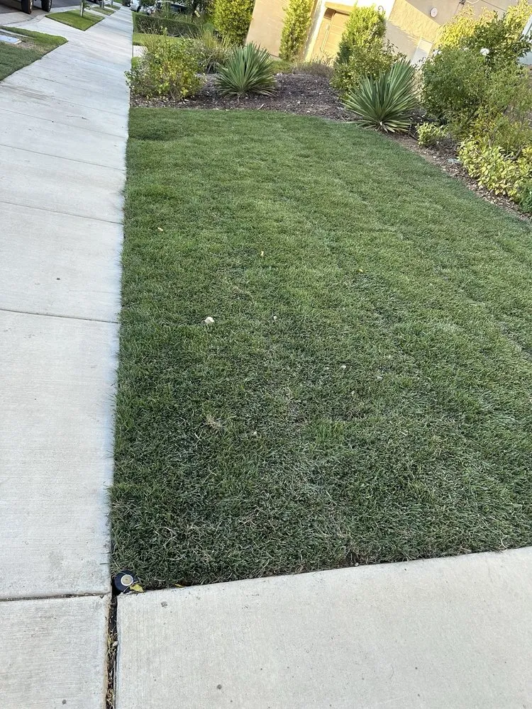 Affordable yard cleanup service experts serving Lake Elsinore, CA - GCI General Construction