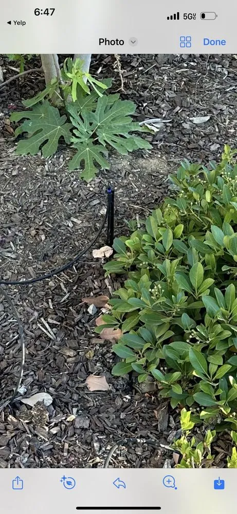 Expert landscape installation in Lake Elsinore, CA - GCI General Construction