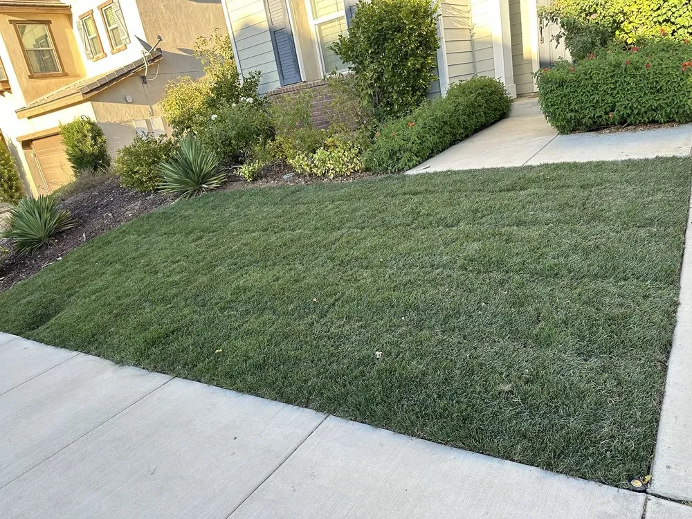 Local yard cleanup service in Lake Elsinore, CA - GCI General Construction