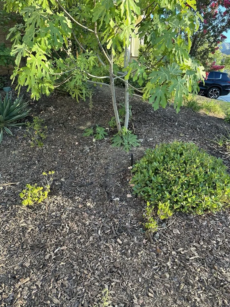 Trusted garden landscaping in Lake Elsinore, CA - GCI General Construction