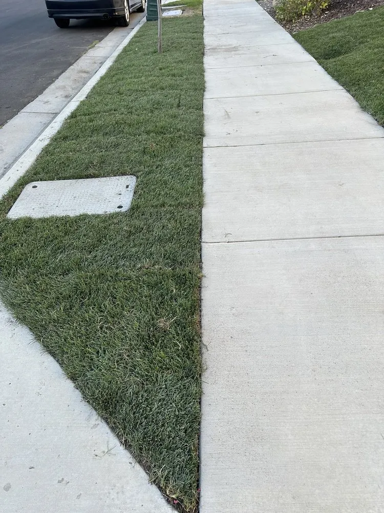 Professional yard cleanup service in Lake Elsinore, CA by GCI General Construction