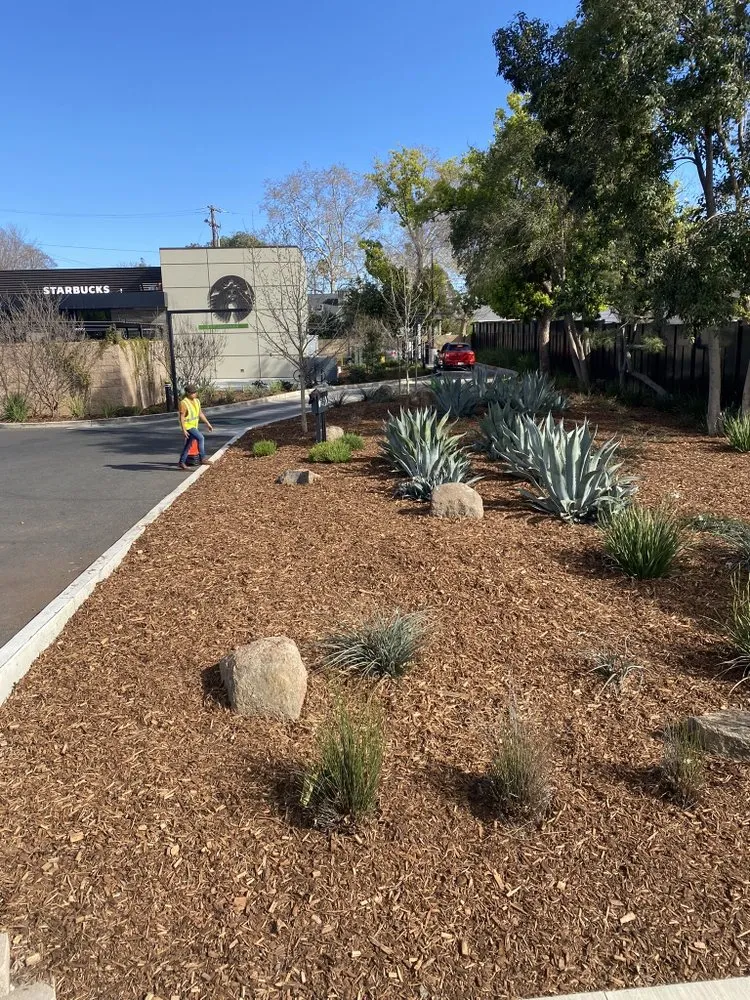 Affordable lawn care service in Sacramento, CA by GC&M Landscape