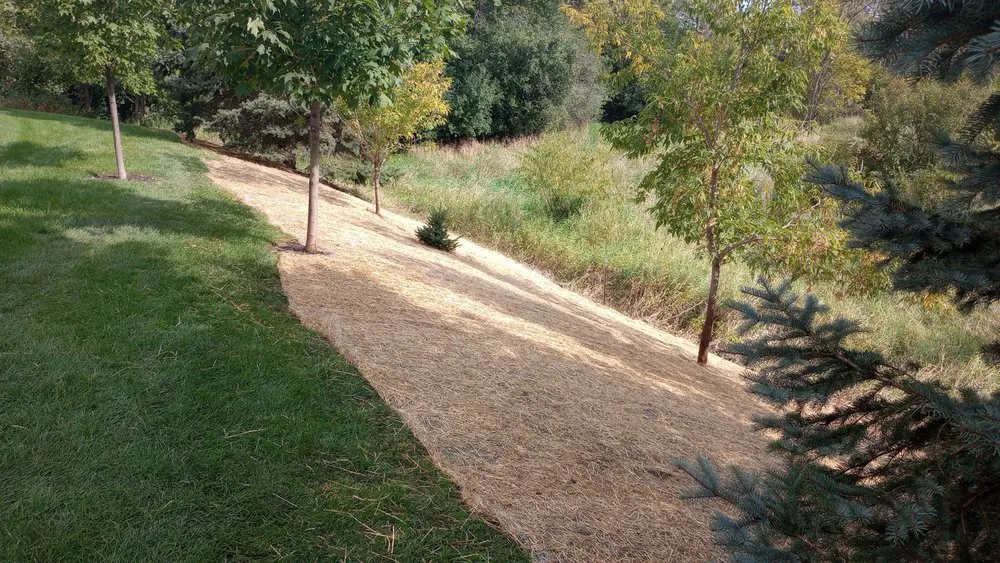 Local outdoor landscaping experts serving St. Cloud, MN - GC's Companies