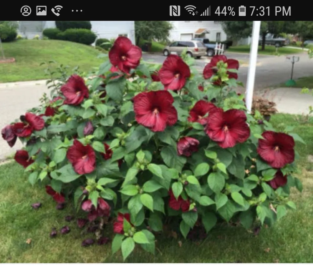 Trusted landscape design in Louisville, KY by GCS Property Maintenance