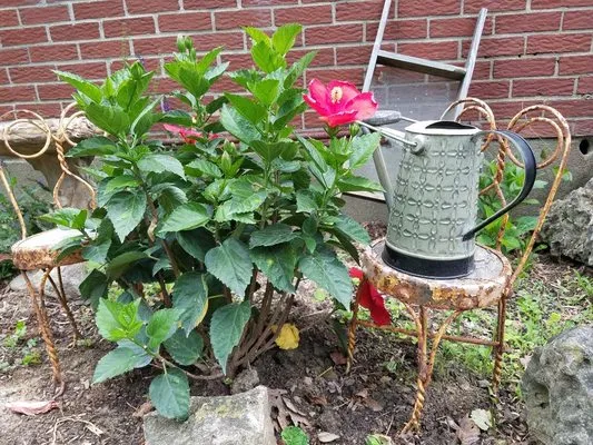 GCS Property Maintenance Logo