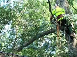 Expert yard cleanup service in Newbury, MA by GCS Services