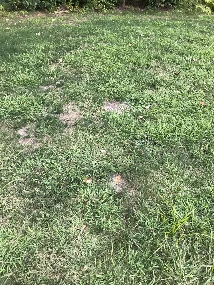 Custom landscaping services in Newbury, MA - GCS Services