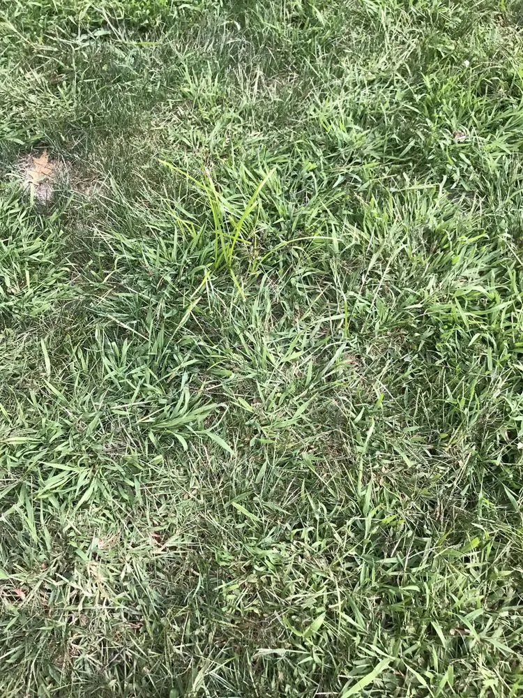 Reliable yard maintenance for year-round maintenance in Newbury, MA by GCS Services