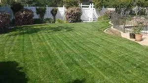 Trusted lawn mowing service in Bridgeville, PA - GD Handyman & Lawn Care