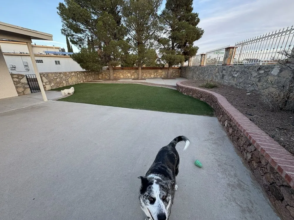 Trusted residential landscaping for homes in Canutillo, TX by GD Lawn Care