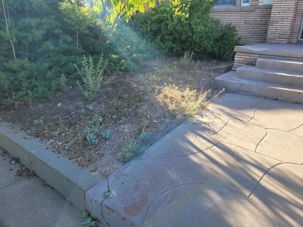 Reliable lawn care service in Canutillo, TX by GD Lawn Care