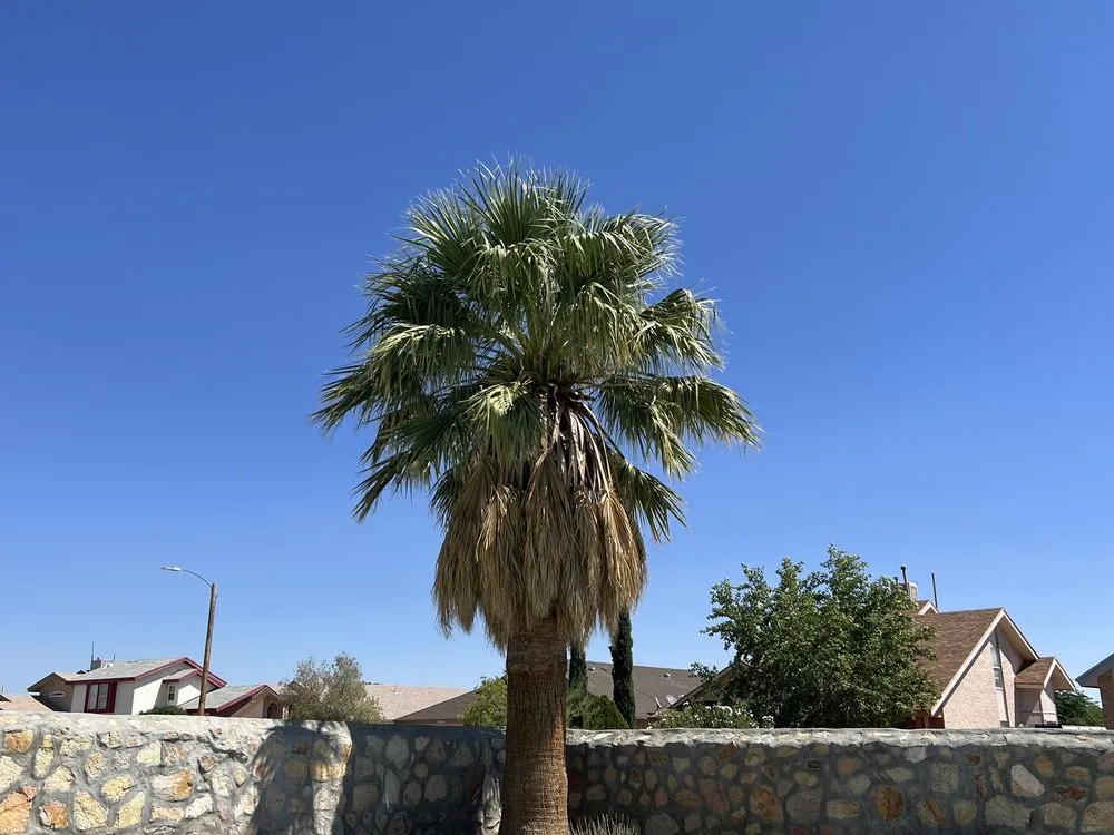 Reliable residential landscaping in Canutillo, TX - GD Lawn Care