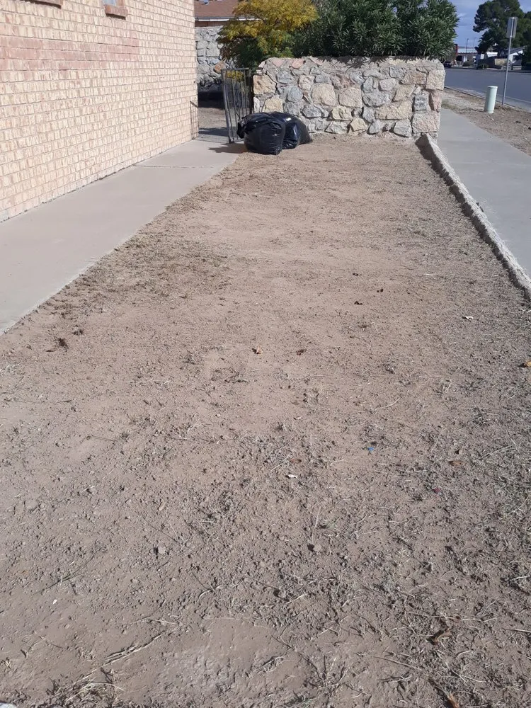 Custom yard cleanup service for outdoor upgrades across Canutillo, TX - GD Lawn Care