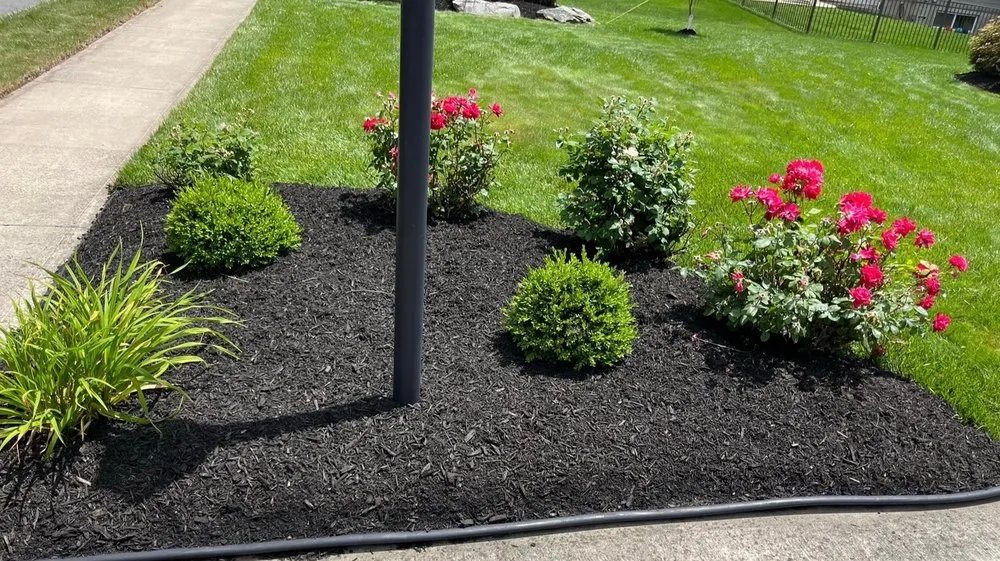 Custom landscape design for homes in Olyphant, PA by G&D Lawn Care