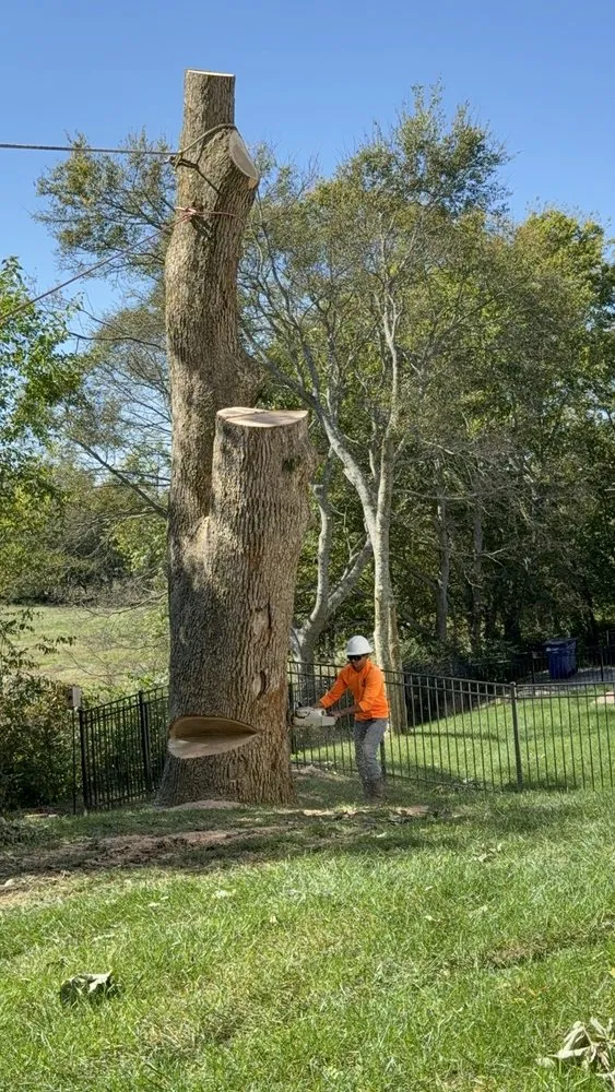 Custom garden landscaping experts serving Murfreesboro, TN - Gdb Professional Tree Services