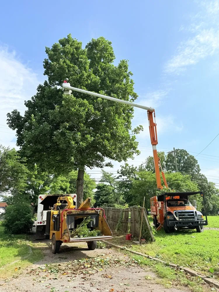 Top-rated lawn mowing service in Murfreesboro, TN by Gdb Professional Tree Services