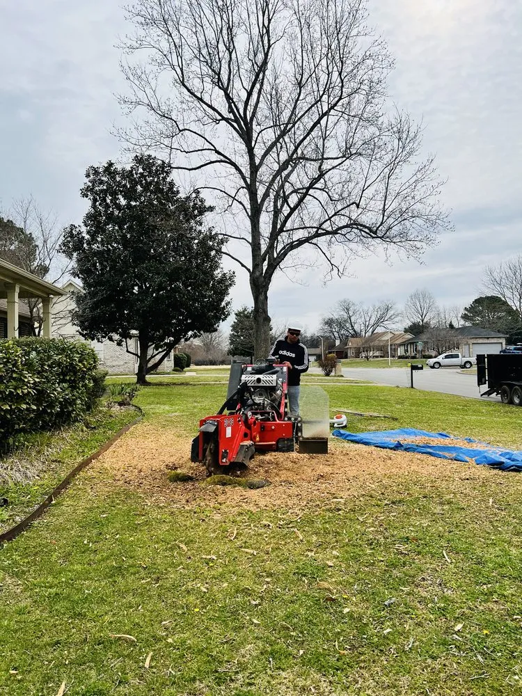 Affordable lawn care service experts serving Murfreesboro, TN - Gdb Professional Tree Services