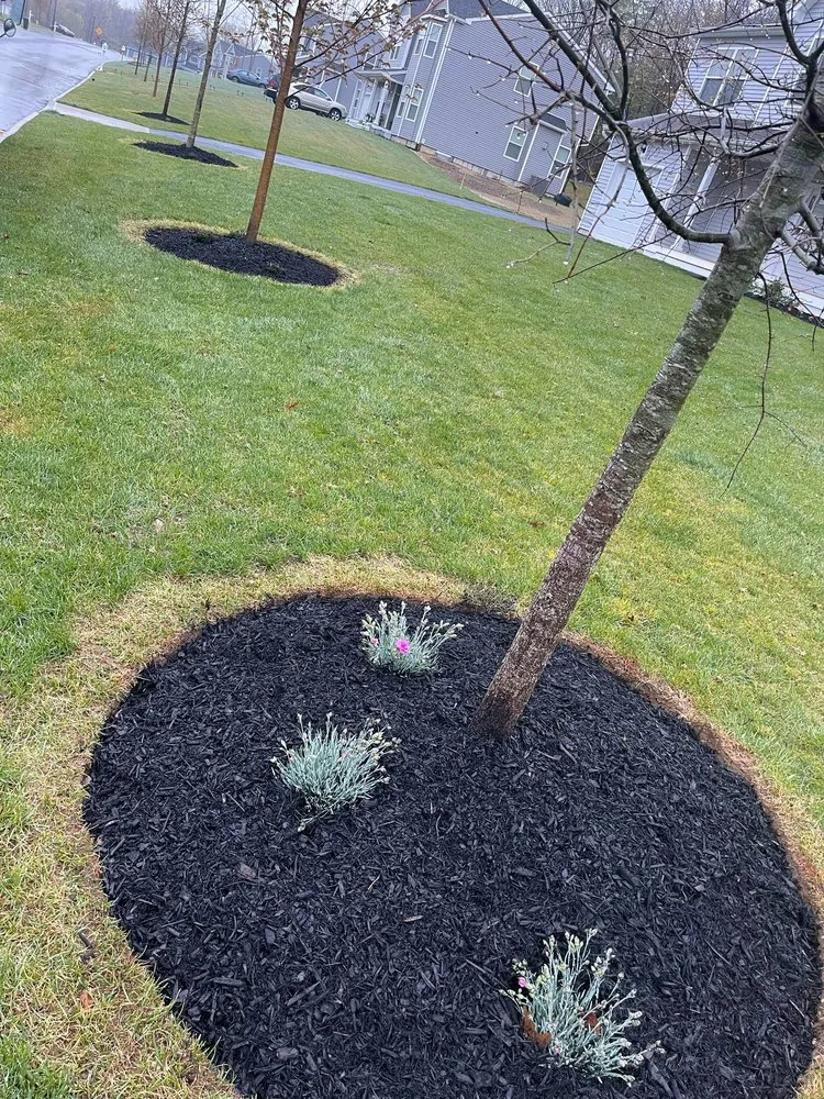 Professional garden landscaping experts serving Coram, NY - GDL Pro Service