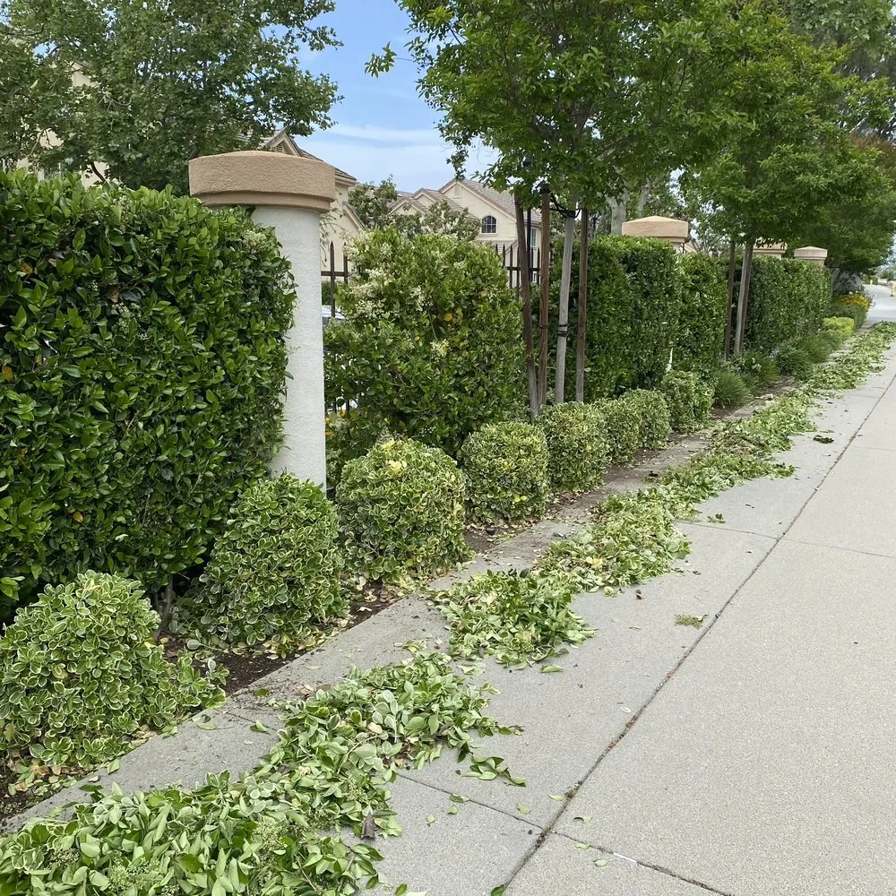 Affordable outdoor landscaping with custom design across Moorpark, CA - GDN Landscaping