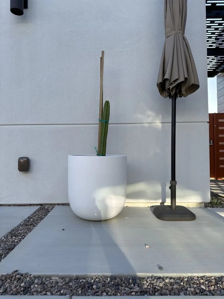 Local yard cleanup service near you in Desert Hot Springs, CA by GDNC Cactus & Desert Plant Nursery