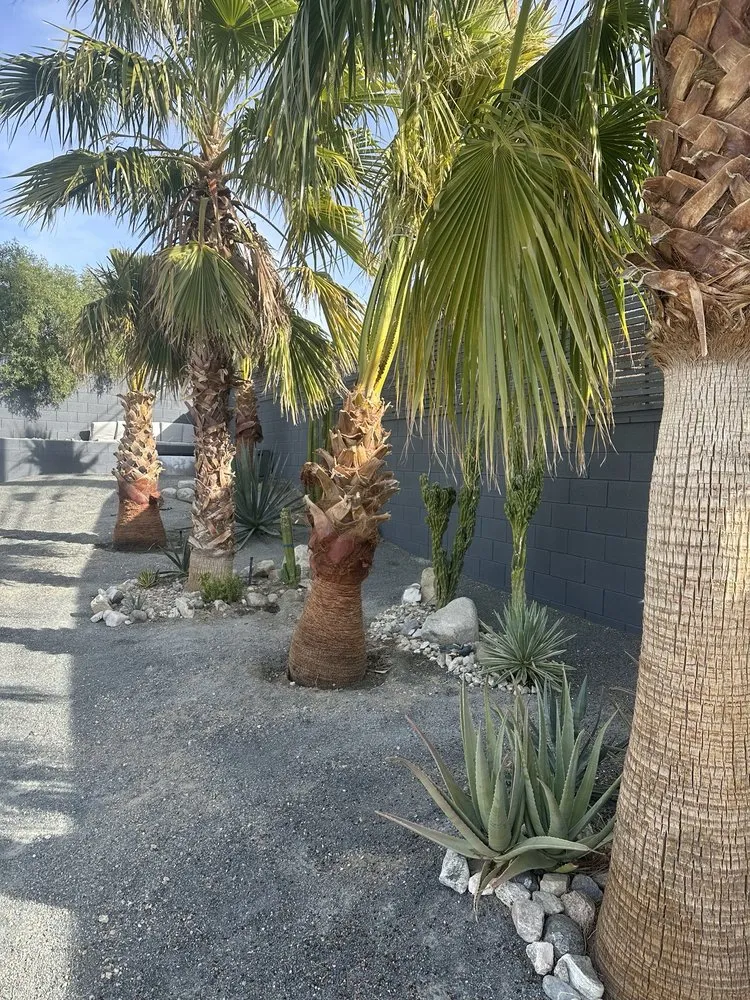 Local landscaping services with custom design across Desert Hot Springs, CA - GDNC Cactus & Desert Plant Nursery