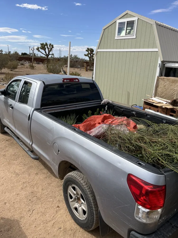 Affordable residential landscaping for year-round maintenance in Desert Hot Springs, CA by GDNC Cactus & Desert Plant Nursery