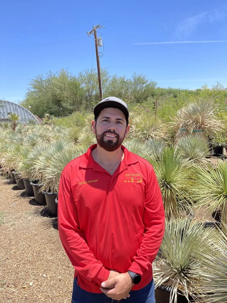 Trusted outdoor landscaping for homes in Desert Hot Springs, CA by GDNC Cactus & Desert Plant Nursery