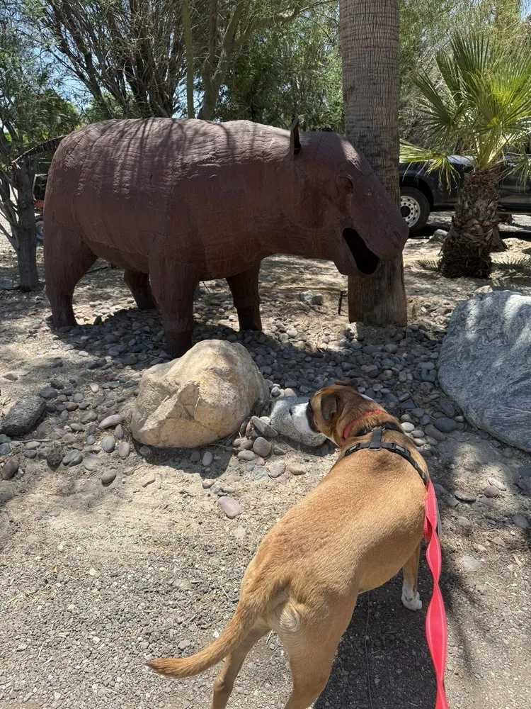 Trusted landscape design experts serving Desert Hot Springs, CA - GDNC Cactus & Desert Plant Nursery