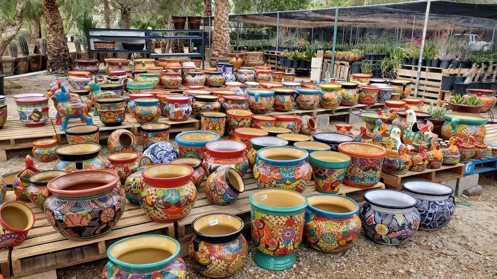 Trusted landscape design for residential properties in Desert Hot Springs, CA by GDNC Cactus & Desert Plant Nursery