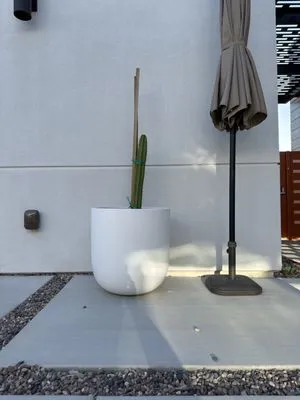 GDNC Cactus & Desert Plant Nursery