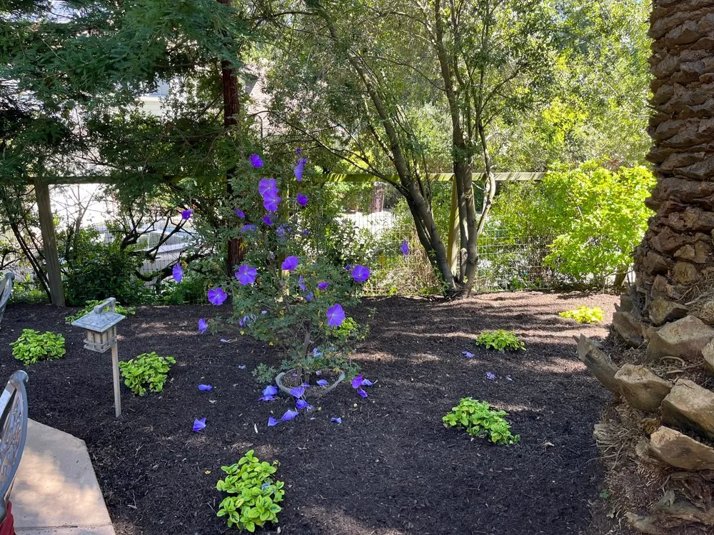 Affordable lawn mowing service near you across Healdsburg, CA - Geared for Growing