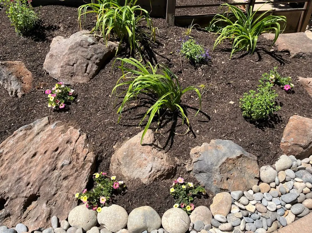 Expert yard cleanup service in Healdsburg, CA - Geared for Growing