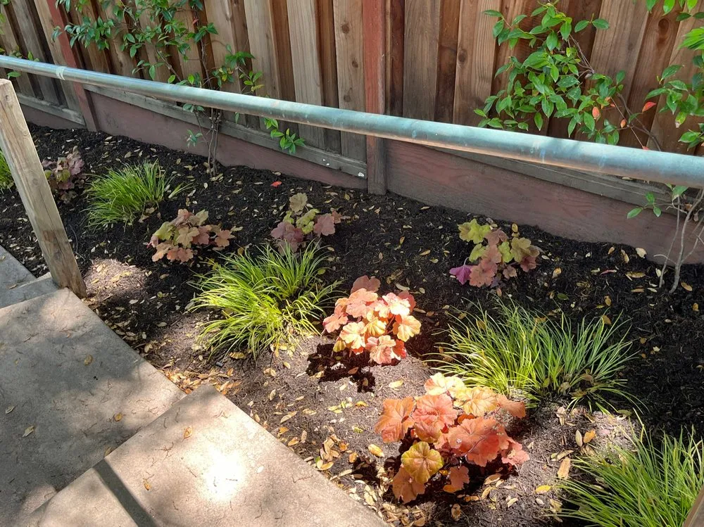 Professional landscape installation in Healdsburg, CA - Geared for Growing