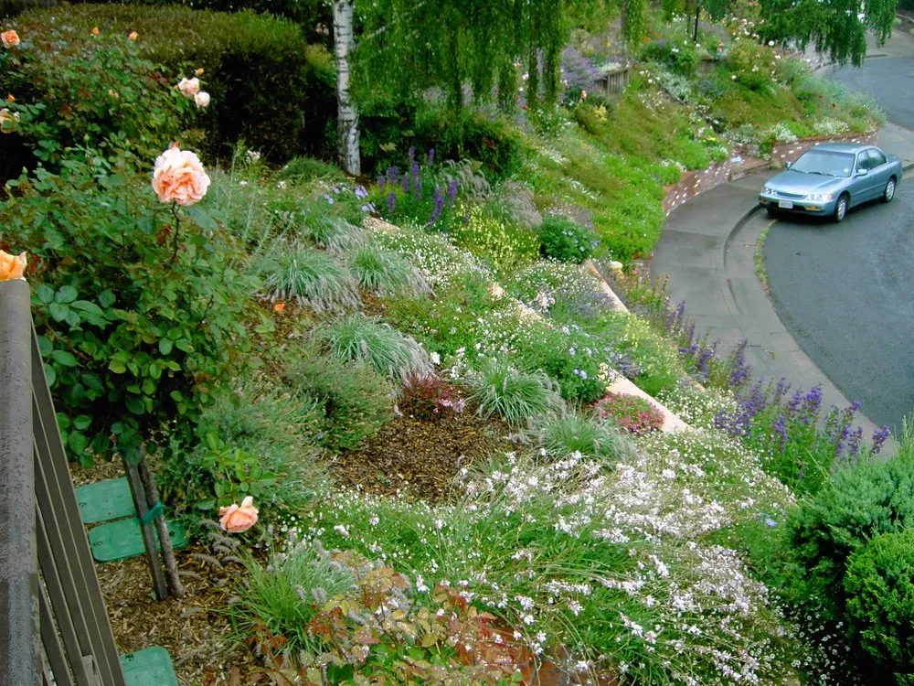 Local yard cleanup service for outdoor upgrades in Healdsburg, CA by Geared for Growing